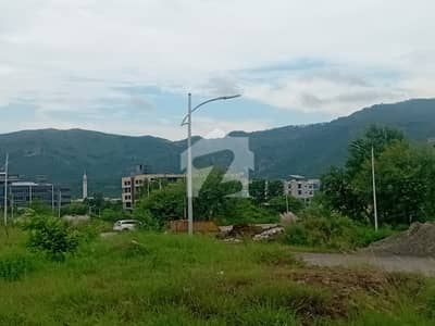 30x60 DOUBLE ROAD BACK OPEN EXTA LAND IN D-12/4 FOR SALE