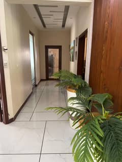 Prime Fully Renovated Duplex Available Located On Muhafiz Street. Prime Fully Renovated Duplex Available Located On Muhafiz Street.