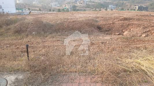 Pair Plot No 18 Nd 19 Sector B Dha Phase 3 Size 50*90