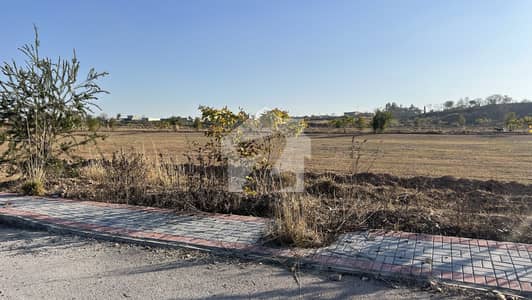 Corner Plot For Sale DHA-5 Sector F Ideal Location