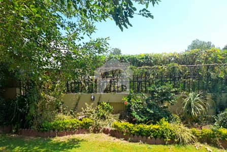 Budget-Friendly Old Livable House For Sale In Prime Area F-6
