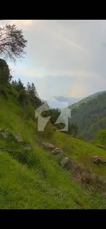 **19 Kanal Residential Land for Farmhouse Thandiani Area**