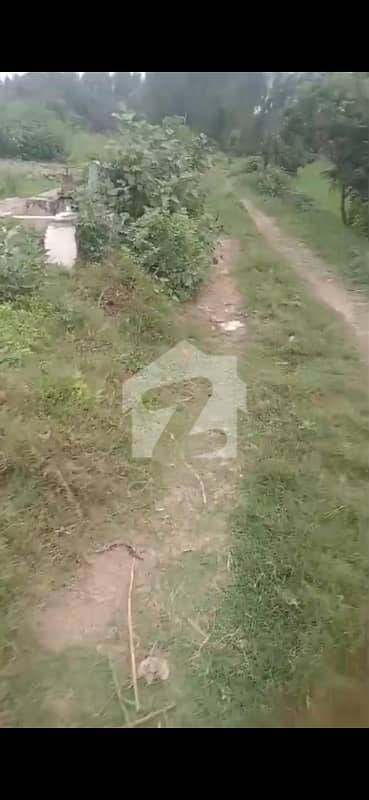 6 6