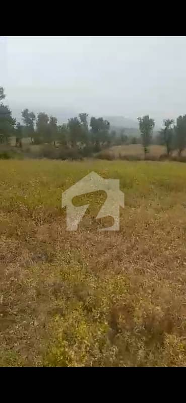 200 Kanal Commercial Land for Sale
