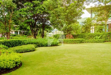 VVIP Location Investor Rate 100x180 Standard CDA Old House