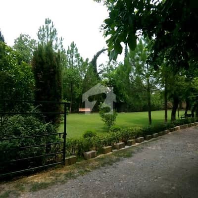 1888 SQ YARD Old House Is For SALE