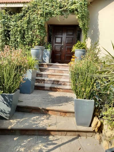 700 Sq. Yards Architect Designed Bungalow For Rent Zamzama (Prime Location)