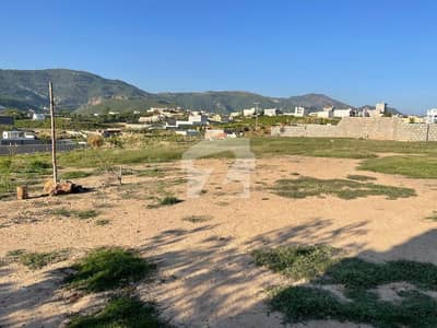Your Ideal 4 Kanal Residential Plot Has Just Become Available In Shah Allah Ditta