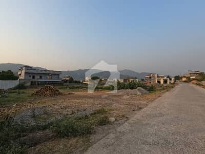 On Excellent Location 11250 Square Feet Spacious Residential Plot Available In Shah Allah Ditta For Sale