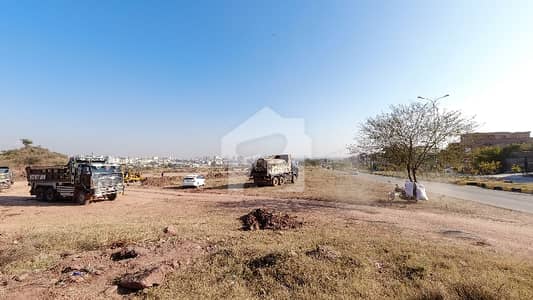 This Is Your Chance To Buy Residential Plot In C-14