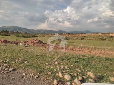 PLOT FOR SALE OIN C 15