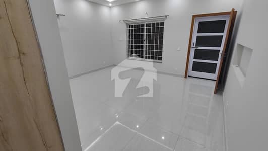 Brand New Upper Portion