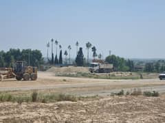 40 FEET STREET CUTTING AREA PLOT FOR SALE