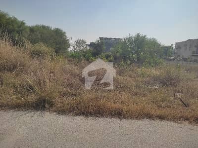Plot For Sale In D12 /2 Size 60*90