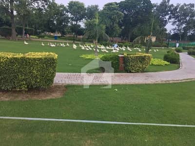 1 Kanal Prime Location Plot Near Park & Commercial - Sui Gas Phase 1