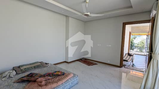 FOR RENT Designer Brand New 1-Bed Portion on Rooftop F_6/1
