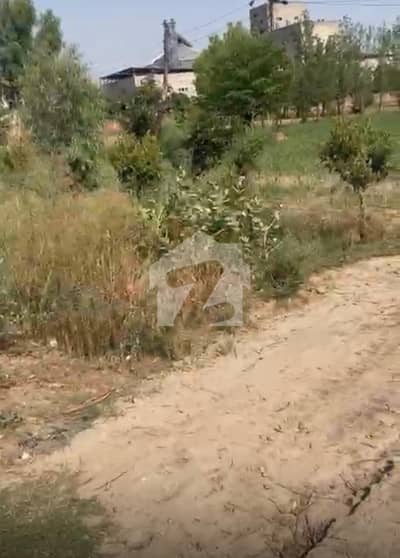 52 kanal Land for sale