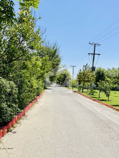 1 Kanal Farm House For Sale Bedian Road Lahore