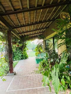 8 Kanal Farm House For Sale Bedia Road, Lahore