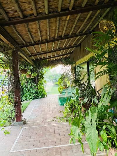 8 Kanal Farm House For Sale Bedia Road, Lahore