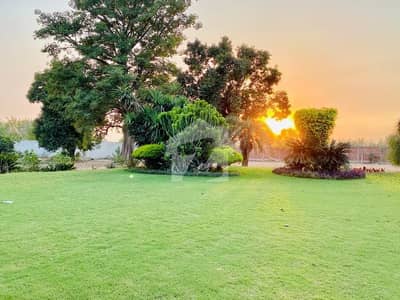8 Kanal Farm House For Sale Bedia Road, Lahore