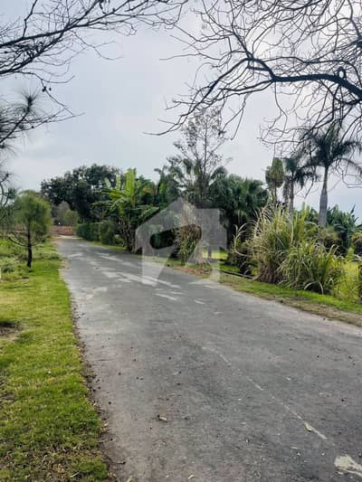 2 Knal Farm House For Sale Bedia Road Lahore
