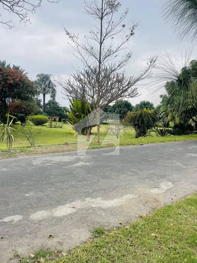 2 Knal Farm House For Sale Bedia Road Lahore