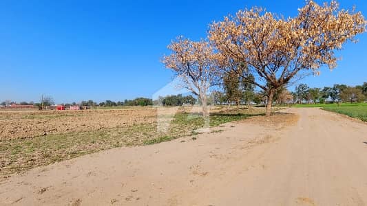 Prime Location 4 Kanal Farm House Land In Lahore Is Available For Sale