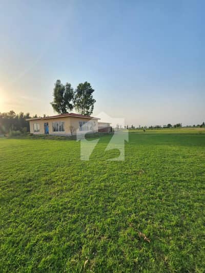 Beyond the Bustle: 4 Kanal Farmhouse on Bedian Road | Luxury Living in Nature