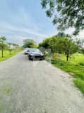 7 7