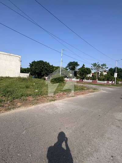 5 Marla Plot Very Good Location Banker Avenue Cooperative Society