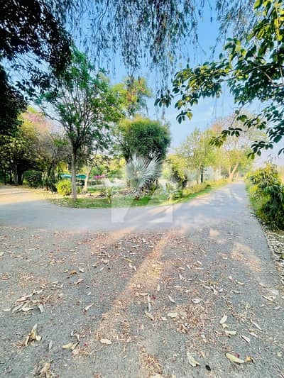 14 Kanal Farm House For Sale Main Bedian Road Thethar