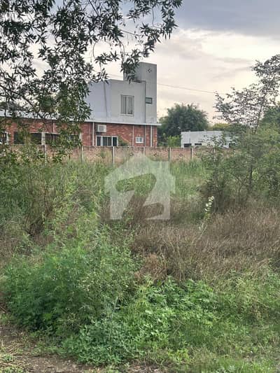 4 Kanal Plot For Sale Bedain Road Lahore