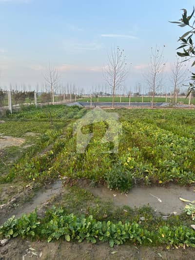 بیدیاں روڈ لاہور میں 1 کنال زرعی زمین 30.0 لاکھ میں برائے فروخت۔