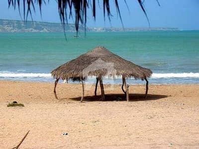 موضع شبی گوادر میں 56 کنال رہائشی پلاٹ 78.75 لاکھ میں برائے فروخت۔