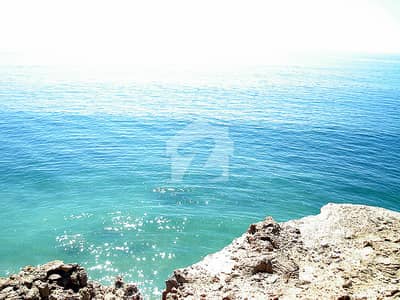 موضع زیارت ماچھی غربی گوادر میں 77 کنال رہائشی پلاٹ 7.8 لاکھ میں برائے فروخت۔