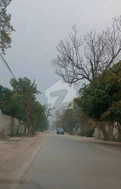 2 Kanal Plot Available For Sale In University Town Peshawar