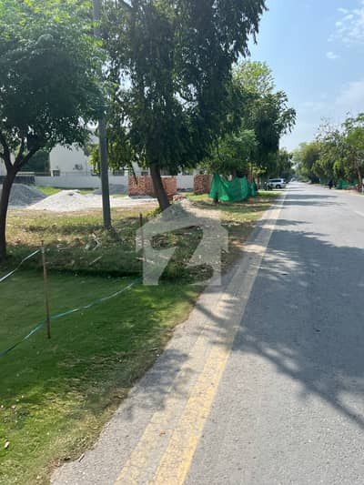 Prime 1 Kanal Road-Level Plot In DHA Phase 6 Surrounded By Modern Homes Exceptional Investment
