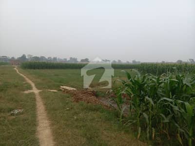 بیدیاں روڈ لاہور میں 4 کنال زرعی زمین 80.0 لاکھ میں برائے فروخت۔