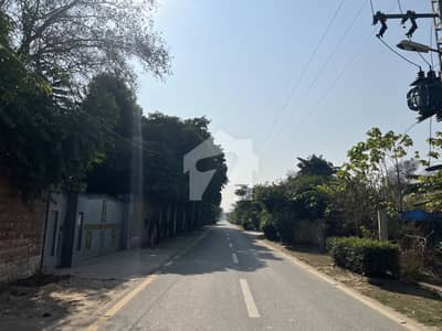 Residential Farm House Plot For Sale In Mouza Thethar