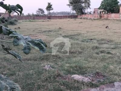 بیدیاں روڈ لاہور میں 272 کنال زرعی زمین 74.8 کروڑ میں برائے فروخت۔