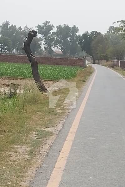 بیدیاں روڈ لاہور میں 6 کنال زرعی زمین 2.4 کروڑ میں برائے فروخت۔