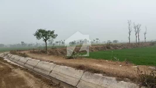 A Agricultural Land Of 4 Kanal For Sale A Agricultural Land Of 4 Kanal For Sale