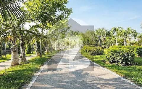 بیدیاں روڈ لاہور میں 8 کنال رہائشی پلاٹ 14.8 کروڑ میں برائے فروخت۔
