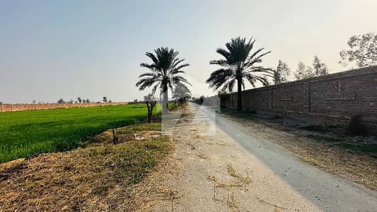 BEDIAN ROAD LAHORE 20 KANAL FARM HOUSE PLOT CARPET ROAD GATED SOCIETY ELECTRICITY AVAILABLE GAS AVAILABLE BEDIAN ROAD LAHORE 20 KANAL FARM HOUSE PLOT CARPET ROAD GATED SOCIETY ELECTRICITY AVAILABLE GAS AVAILABLE