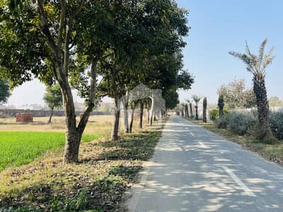 2 Kanal Residential Farmhouse Plot For In Lush Green Gated Compound Near To DHA 7& 9