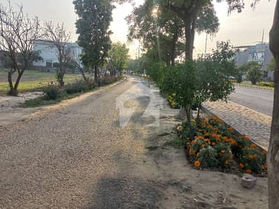 Bankers Avenue 5 Marla Block C Plot For Sale