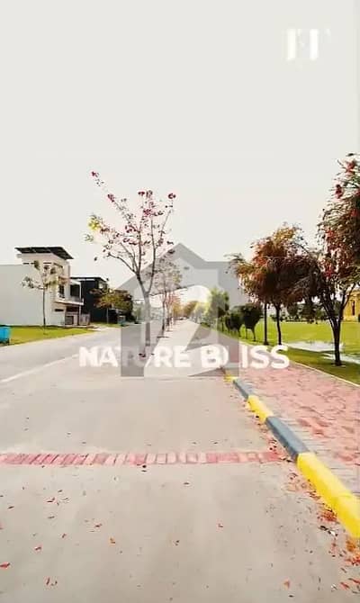 Faisal Hills Block D 25*50 Plot For Sale On Good Location First Come First Available This Big Opertuinty Faisal Hills Block D 25*50 Plot For Sale On Good Location First Come First Available This Big Opertuinty