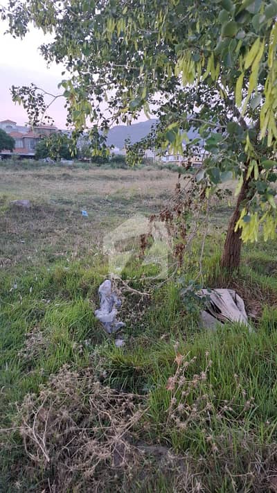 **Residential Plot for Sale D-12/4 (Main Road, Pindi Face)** **Residential Plot for Sale D-12/4 (Main Road, Pindi Face)**
