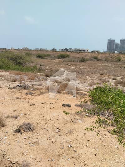 Plot For Sale 1000 Square Yards In Dha Phase 8